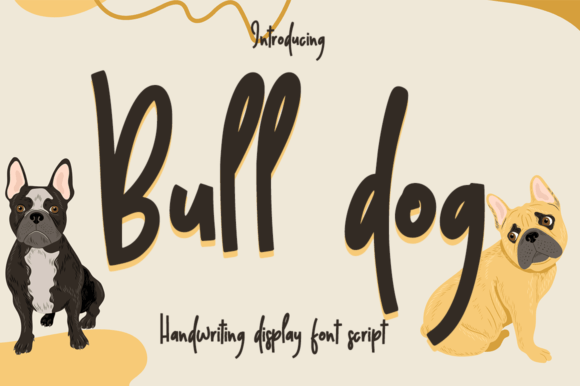 Bull Dog Font: A Designer’s Practical Review