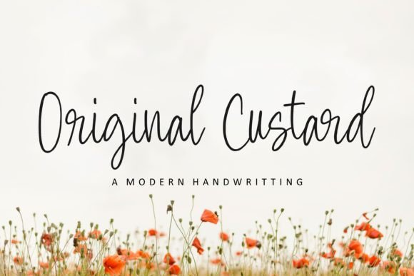 Original Custard Font Review for Campaign Design