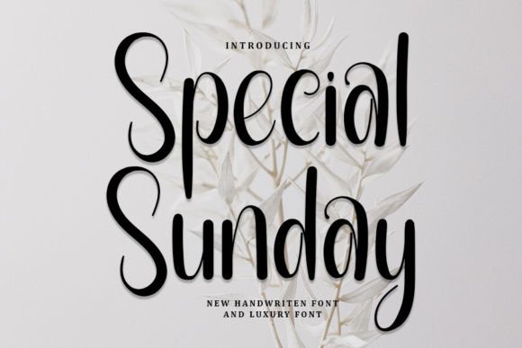 Special Sunday Font: Refined Handwritten Typography